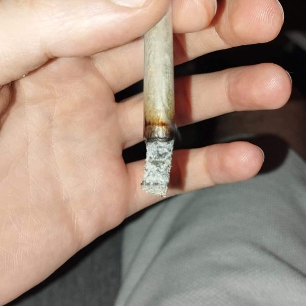 בלו זושי (Blue Zushi)