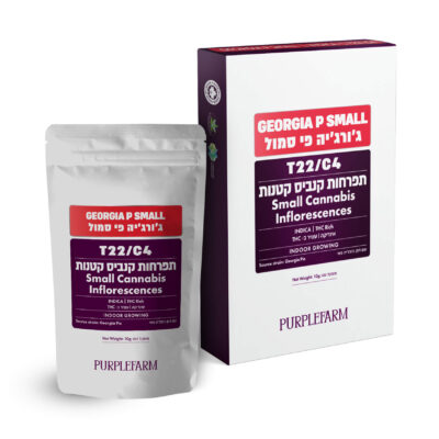 ג'ורג'יה פאי (Georgia Pie)