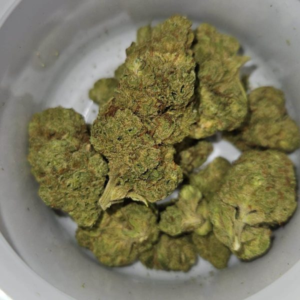 ג'לאטו אוג'י (Gelato OG)