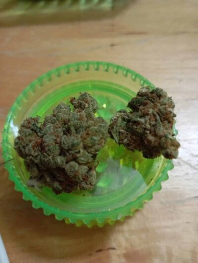 ג'י אם או (GMO)