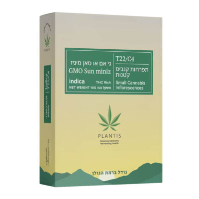 ג'י אם או (GMO)