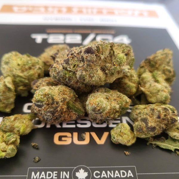 גויאבה (Guava)