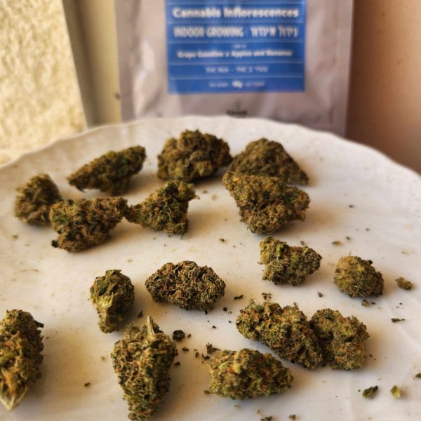 גסטרו פופ (Gastro Pop)