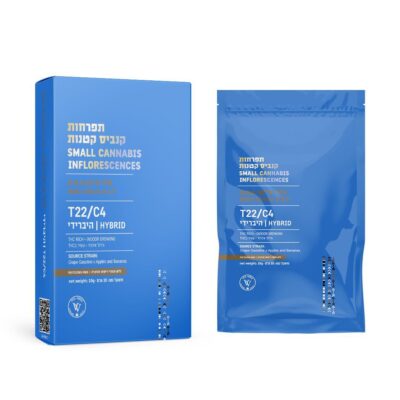 גסטרו פופ (Gastro Pop)