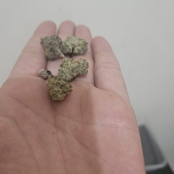 גויאבה בומבה (Guava Bomba)