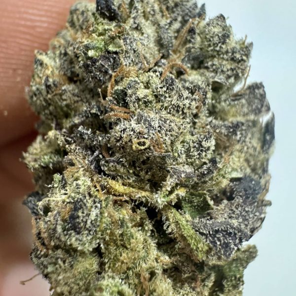 גלייזד גרליק (Glazed Garlic)