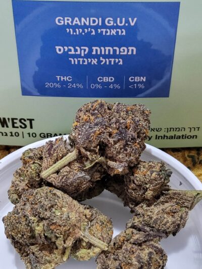 גרנדי גויאבה (Grandi Guava)