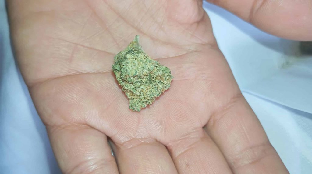 דד הד (Dead Head)