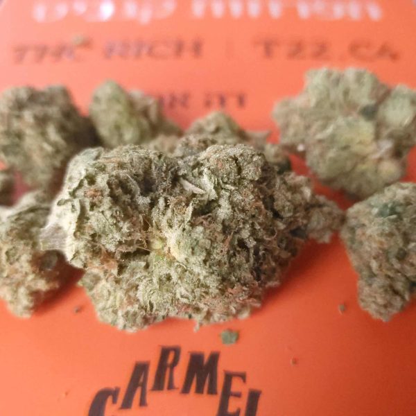 אנימל פייס (Animal Face)