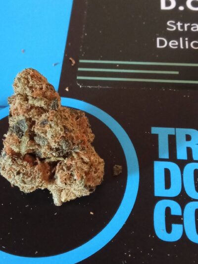 דלישס קנדי (Delicious Candy)