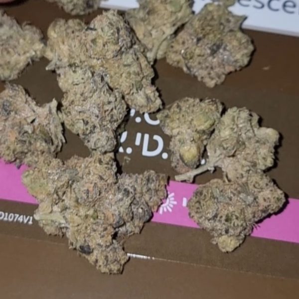 שפריצר (Spritzer)