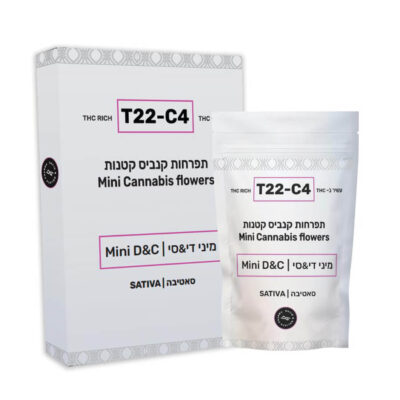 אמנזיה הייז (Amnesia Haze)