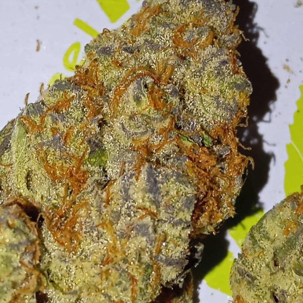 קאדילק ריינבו (Cadillac Rainbow)