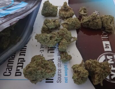 הארדקור גושרס (Hardcore Gushers)