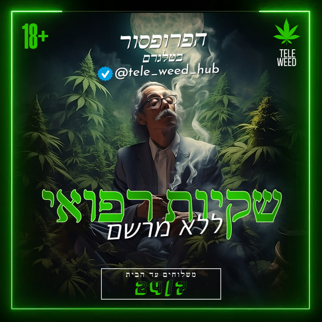 הפרופסור כיוונים בטלגרם