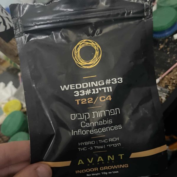 וודינג ג'לאטו (Wedding Gelato)