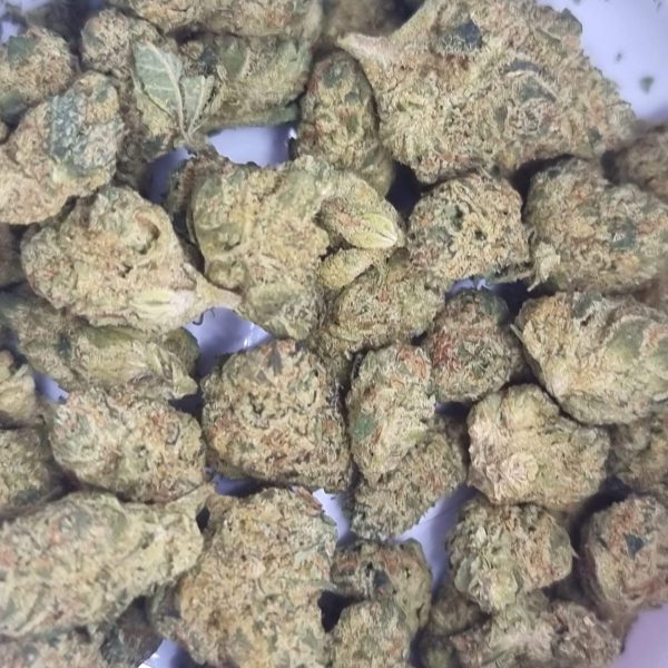 ווייט קוקונט פאי (White Coconut Pie)