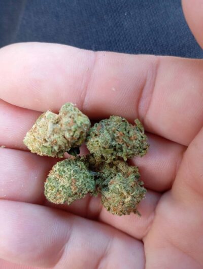 פרפל קייק (Purple Cake)