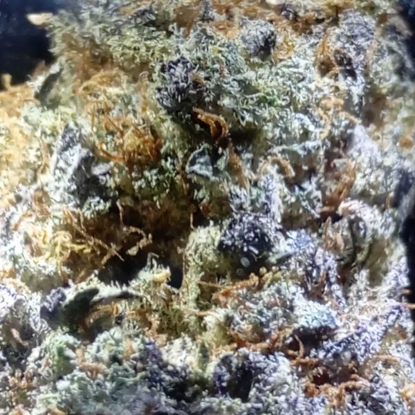 טיר גז (Tear Gas)