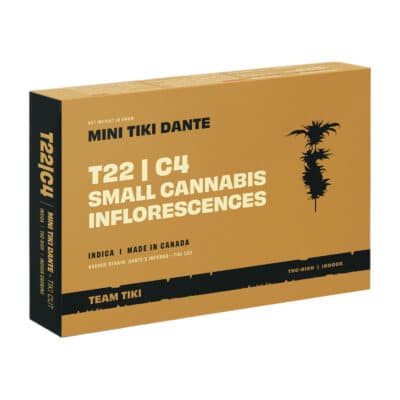 דנט'ס אינפרנו (Dante's Inferno)