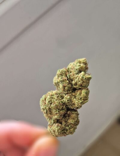 סאוור צונאמי (Sour Tsunami)