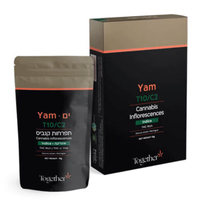 מרינג (Meringue)