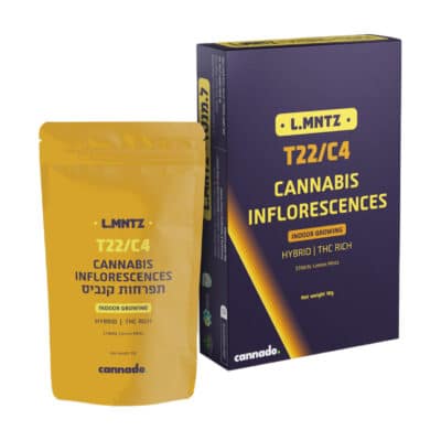 למון מינטס (Lemon Mints)