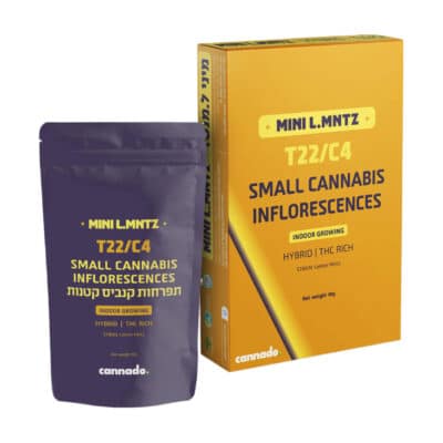 למון מינטס (Lemon Mints)