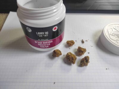 לארי אוג'י (Larry OG)