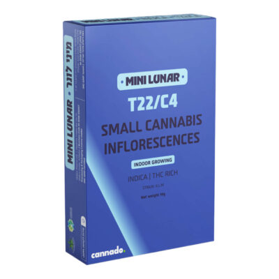 קיי.אל.אם (KLM)