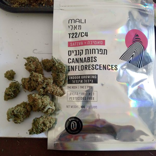 מאליבו (Malibu)