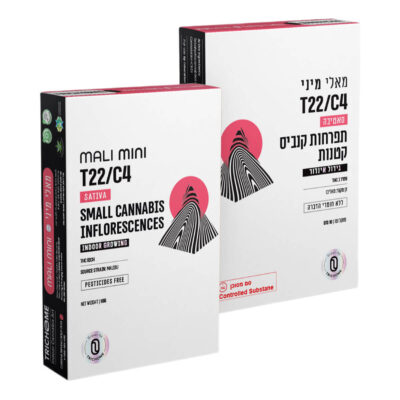 מאליבו (Malibu)