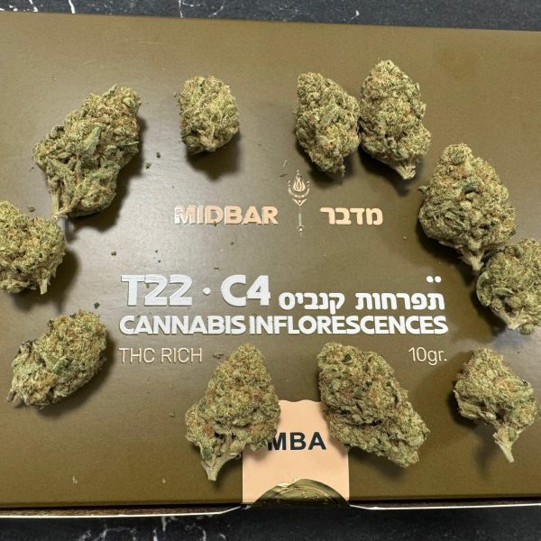 בצ'לור פארטי (Bachelor Party)