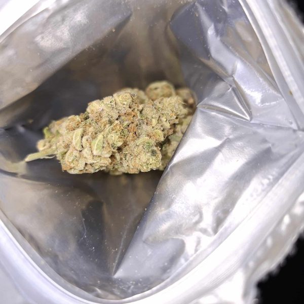 מדיין (Medellin)