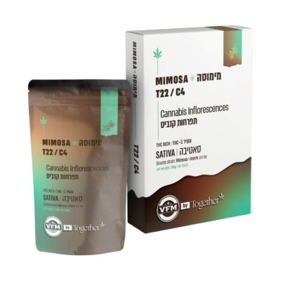 מימוזה (Mimosa)