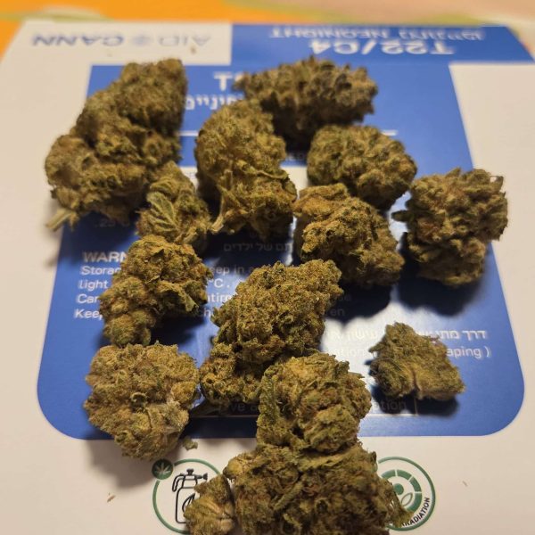 ווייט ווקר (White Walker)