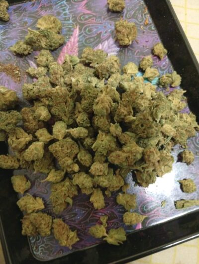 טאהו אוג'י (Tahoe OG)