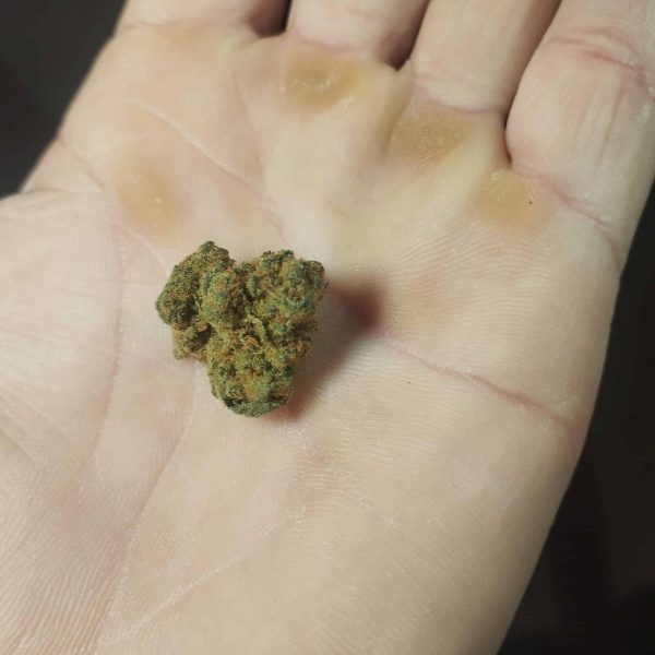 ווינגסוט (Wingsuit)