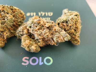 דאבל דרים (Double Dream)