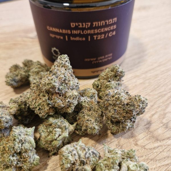 פרוסטד פרוט קייק (Frosted Fruit Cake)