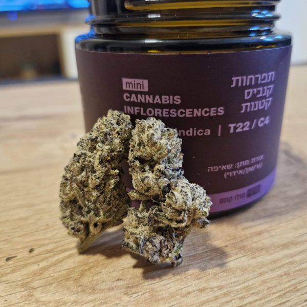 איי קנדי (Eye Candy)