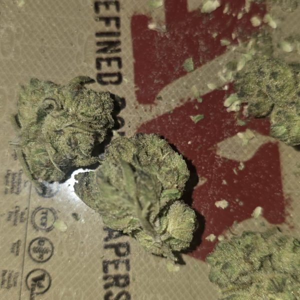 כמדוג 91 (Chemdawg 91)