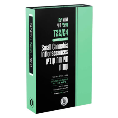 צ'רי פאי (Cherry Pie)