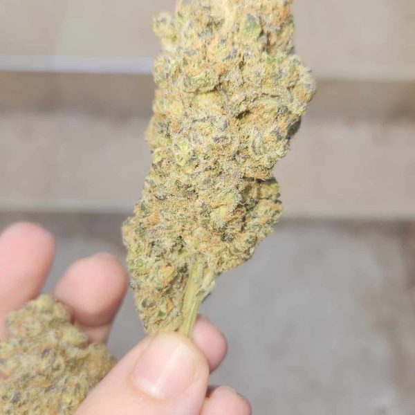 צ'רי פאנץ' (Cherry Punch)