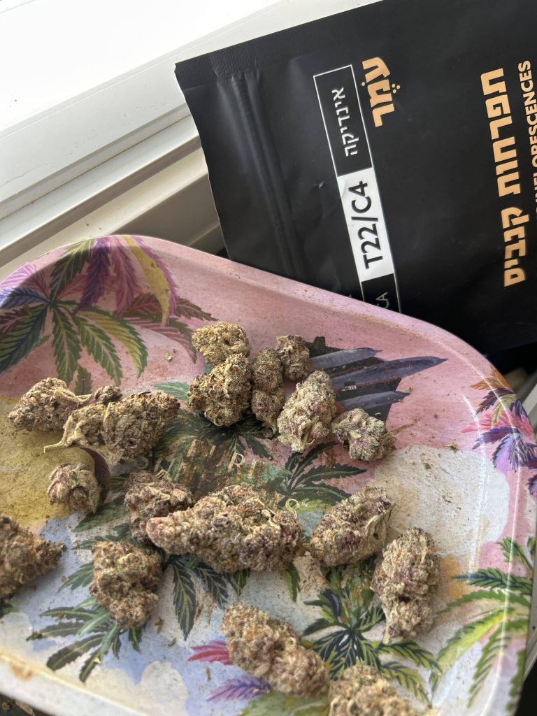 למון ברי (Lemon Berry)