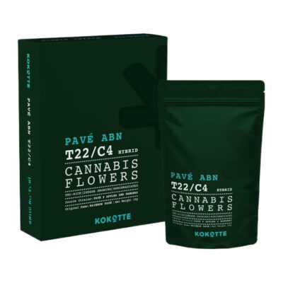 ריינבו פאבה (Rainbow Pave)