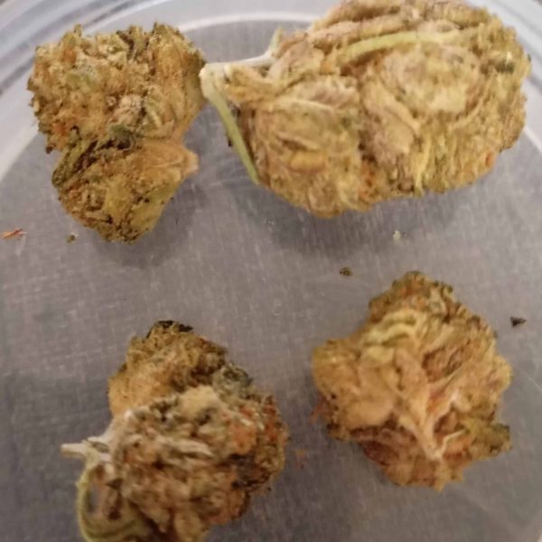 פרוטי פבלס (Fruity Pebbles)