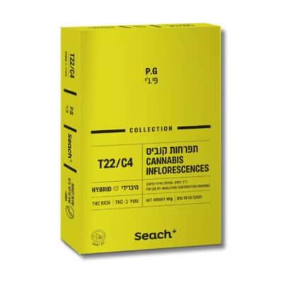 פלטינום גרליק (Platinum Garlic)