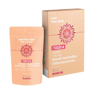 וודינג קייק (Wedding Cake)