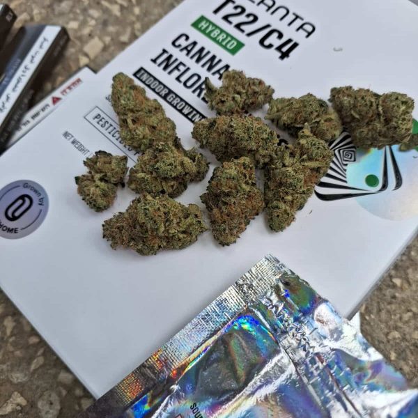 זרברי (Zerberry)